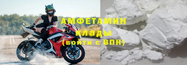 ГАЛЛЮЦИНОГЕННЫЕ ГРИБЫ Тутаев