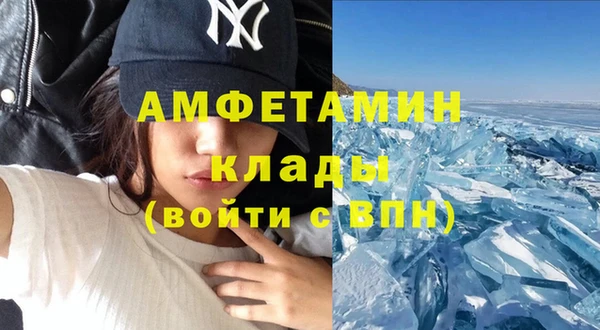 ГАЛЛЮЦИНОГЕННЫЕ ГРИБЫ Тутаев
