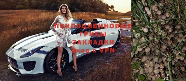 дурь Тында