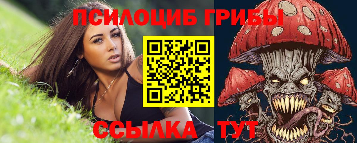 Галлюциногенные грибы MAGIC MUSHROOMS Зима