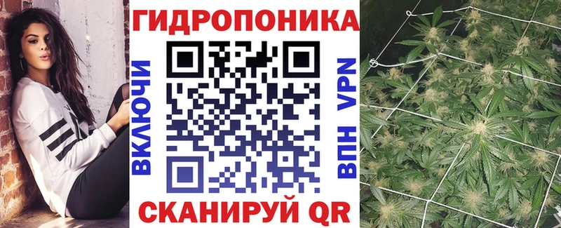 Марихуана OG Kush  гидра как зайти  Зима  купить наркотик 